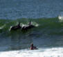 Surf J Bay