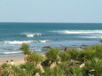 J-Bay Surf School Volunteer